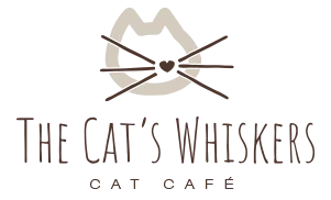 thecatswhiskersyork.co.uk