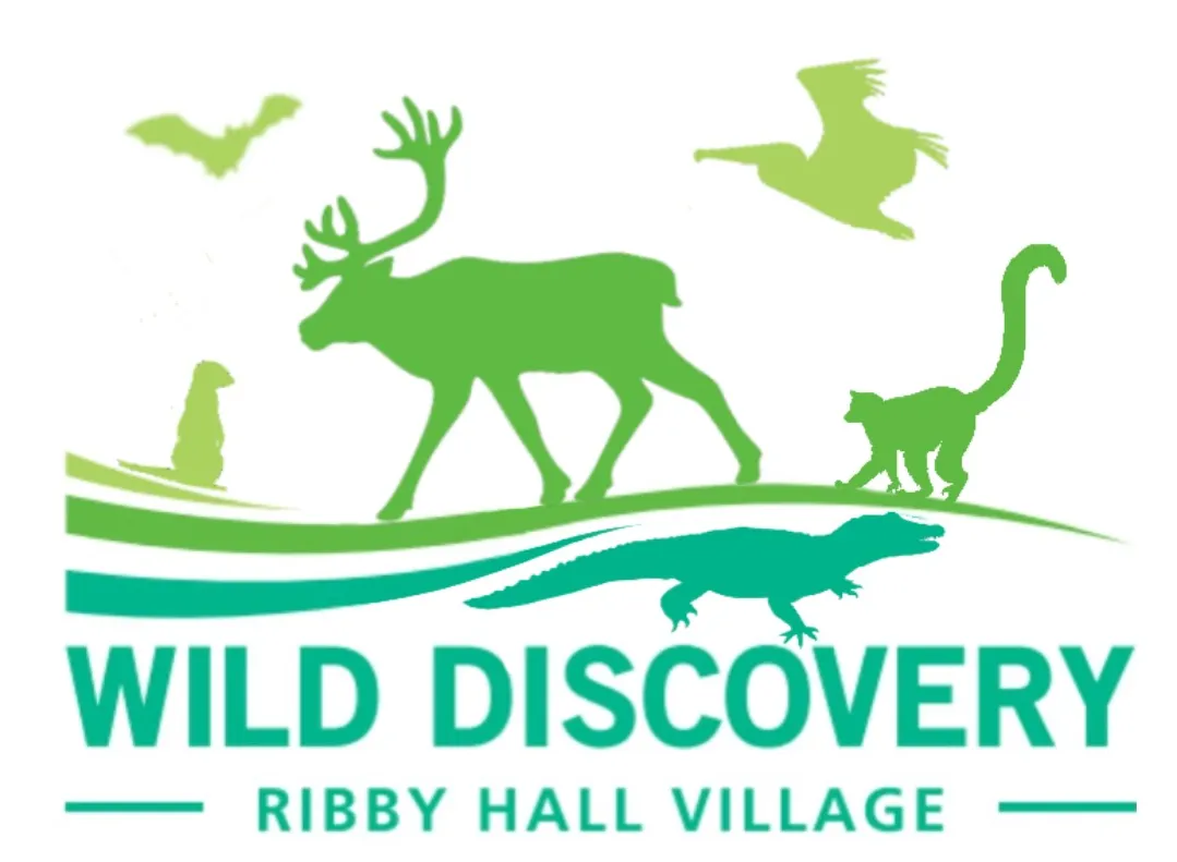 wilddiscovery.co.uk